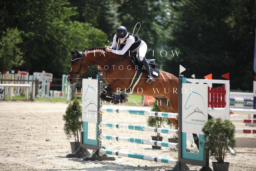 IMGM5881 | pl-fotografie