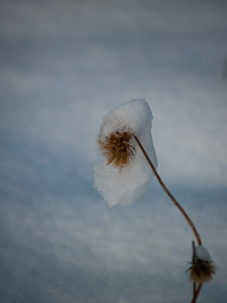 PSX_20221211_233213 | mtkfoto_ - Realisiert mit Pictrs.com