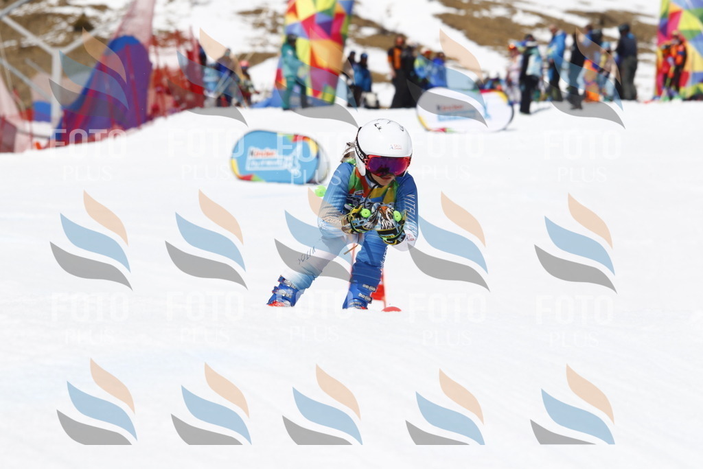 _U3G8171 | holidayphoto