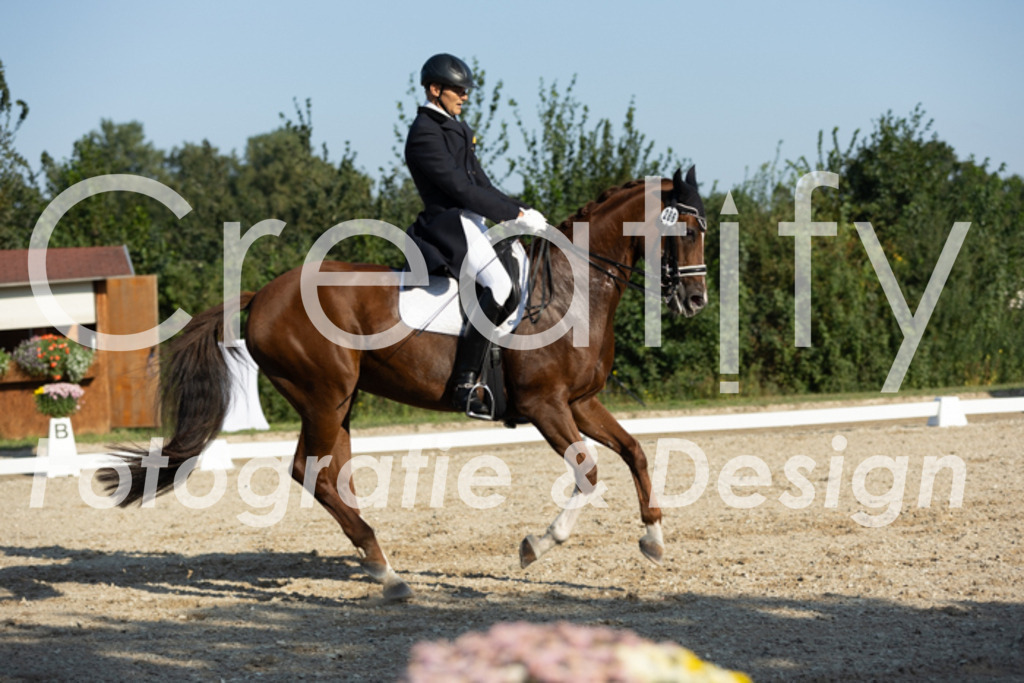 IMG_6573 | Creatify Fotografie