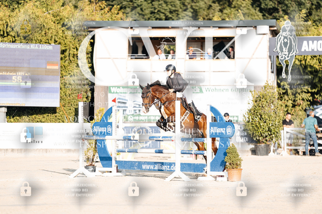 CK900595 | Turnierfotografie Pferdefotografie Trier Rheinland-Pfalz Pferdesport Reitsport Tierfotografie Sportfotografie Pferdevideo Pferdevideografie Equestrianvideography equestrianphotography  - Realisiert mit Pictrs.com