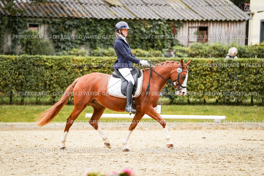 DSC08899 | Pferdegrafie