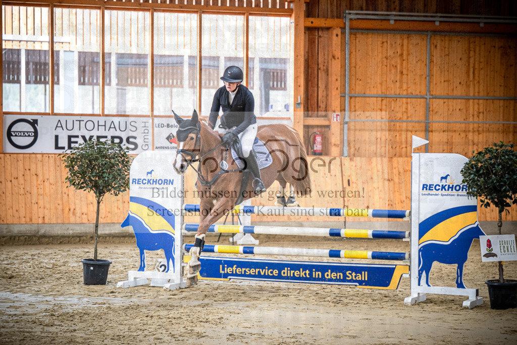 DOS_1283 | Entdecke hochwertige Reitturnierfotos von Foto Oger. Professionell, emotional und authentisch – jetzt Lieblingsmomente im Shop bestellen.Deutschlandweite Turnierfotografie. - Realisiert mit Pictrs.com