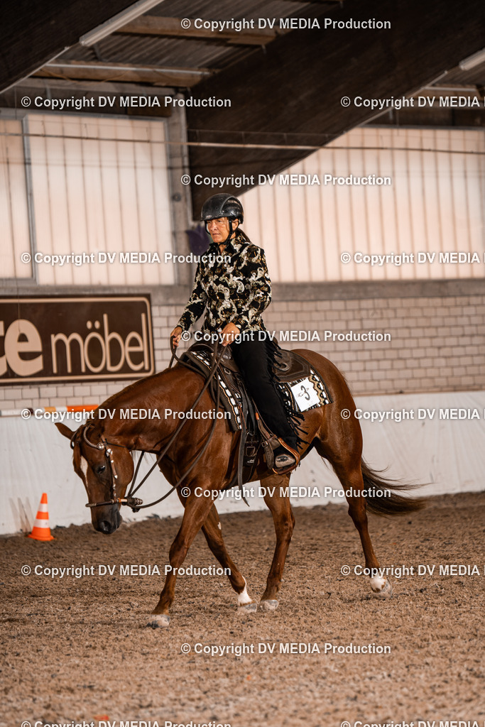 ZH100194 | dv-media-shop - Realisiert mit Pictrs.com