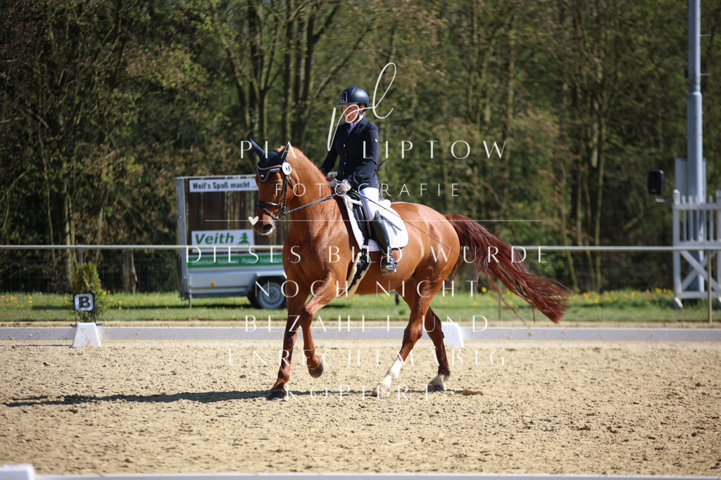 IMGT8266 | pl-fotografie