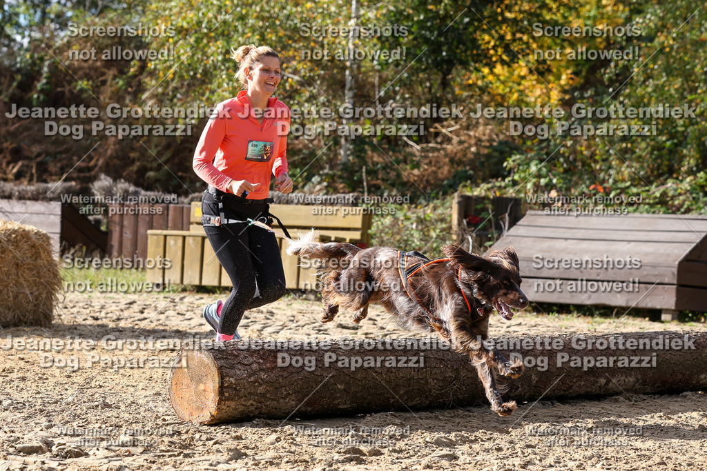 Dog Paparazzi - Strongdog 10-25-5912 | Dog Paparazzi Jeanette Grottendiek Fotografie & Videografie - Realisiert mit Pictrs.com