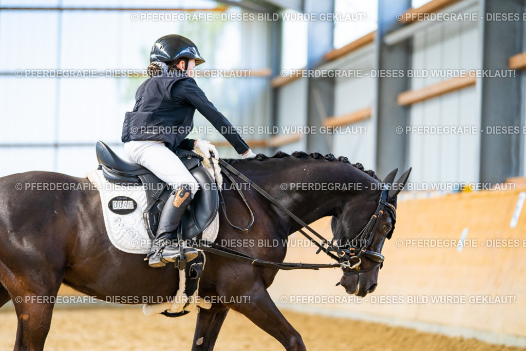 DSC09027 | Pferdegrafie