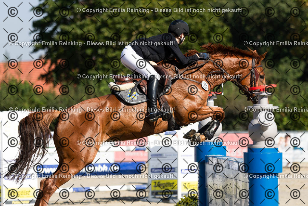 CL5A6574 | Emilia Reinking Fotografie - Realisiert mit Pictrs.com