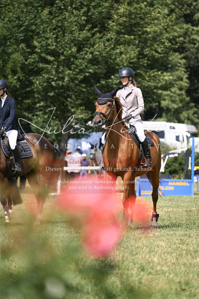 DSC_0684 | Pferde- und Turnierfotografie in Westsachsen. Pferdeportraits, Auftragszeichnungen und intuitive Kunst.