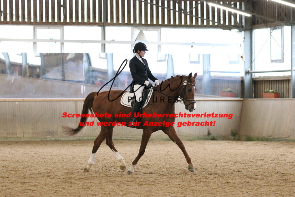 IMG_6422 | lmwpictures - Realisiert mit Pictrs.com