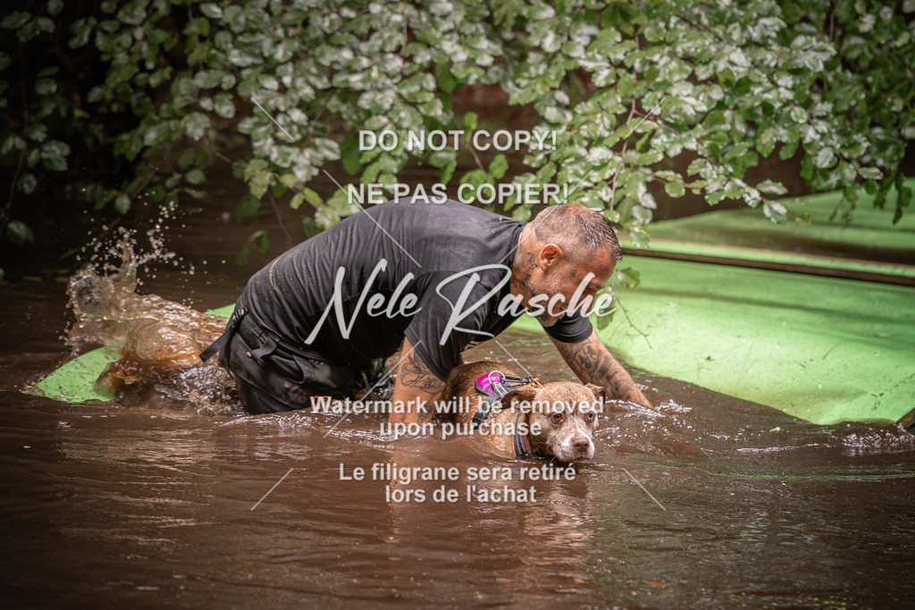 nelerasche_Wingst_Sa1330-1400_10 | nelerasche