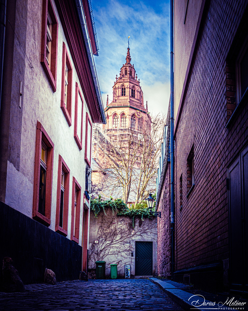 Der Mainzer Dom | Der Mainzer Dom
