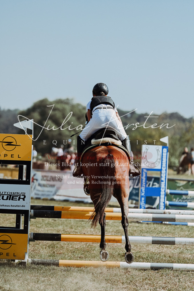 DSC_9421 | Pferde- und Turnierfotografie in Westsachsen. Pferdeportraits, Auftragszeichnungen und intuitive Kunst.