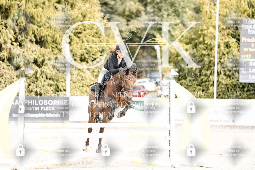 CK901948 | Turnierfotografie Pferdefotografie Trier Rheinland-Pfalz Pferdesport Reitsport Tierfotografie Sportfotografie Pferdevideo Pferdevideografie Equestrianvideography equestrianphotography  - Realisiert mit Pictrs.com