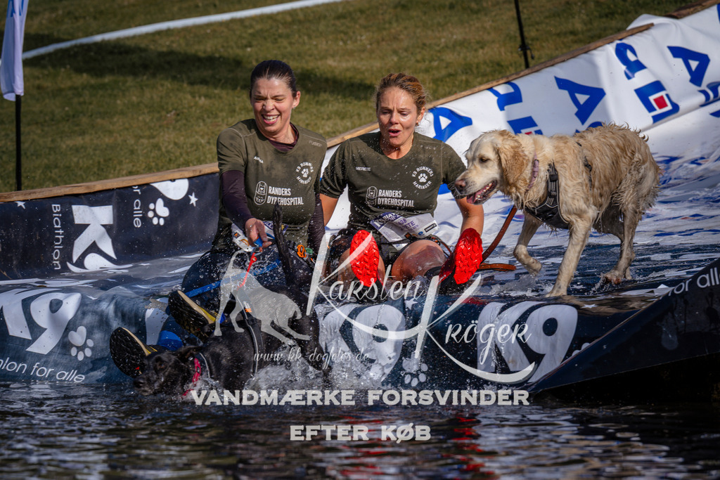 _ZZ948630720 | kk-dogfotos