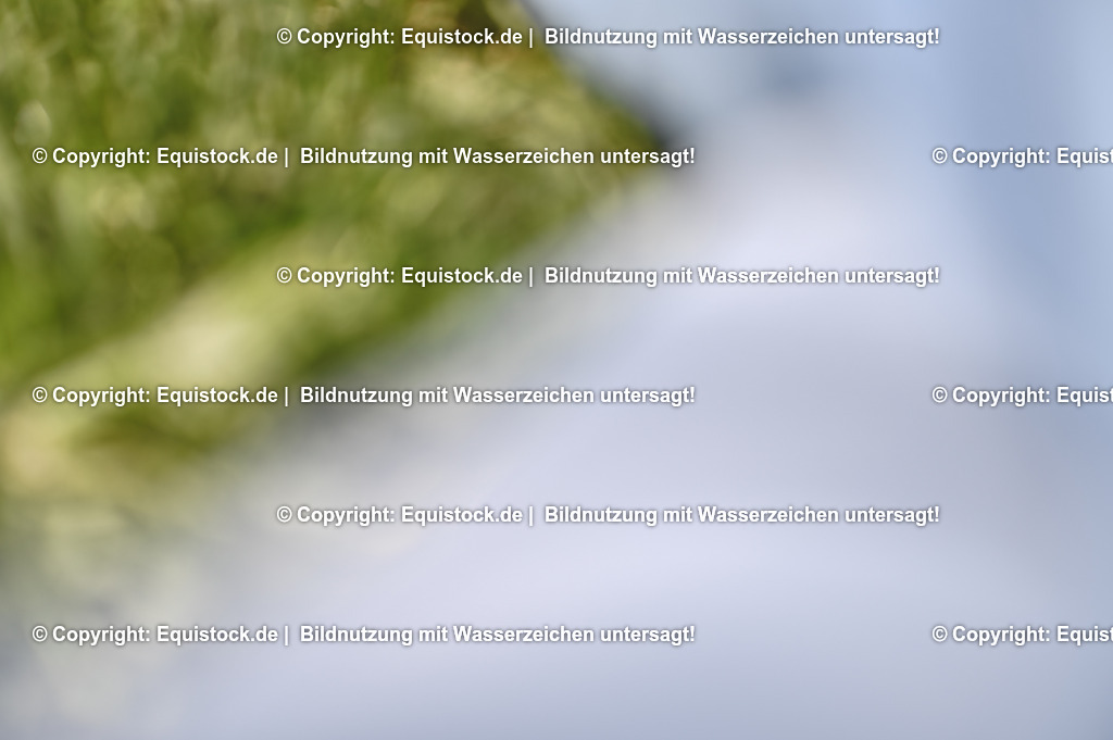 20250517_CCI2_Gelände_1903 | Foto: Thomas Hartig