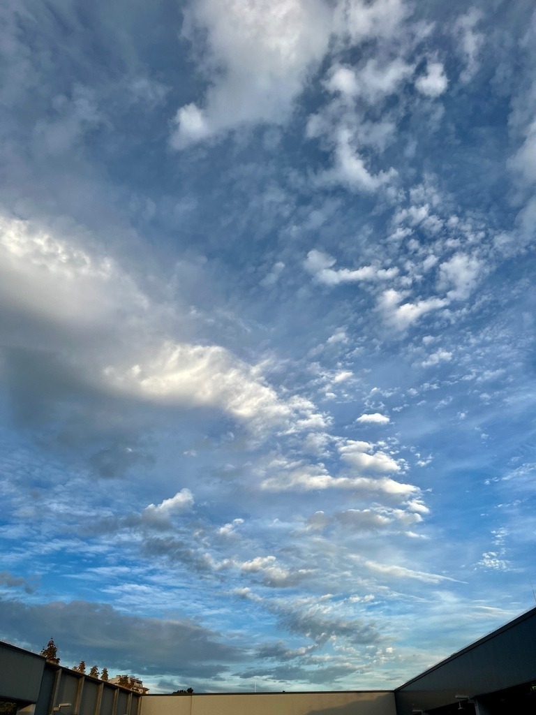 IMG_8860 | ace - Realisiert mit Pictrs.com