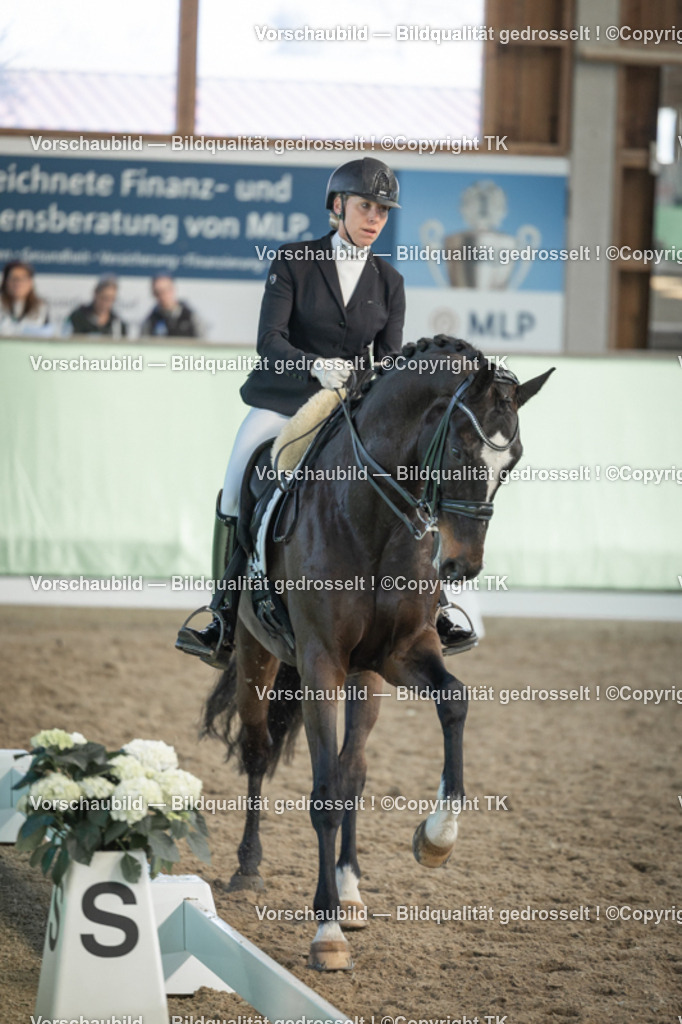 _D5A2986 | Emotionale Pferde- & People-Fotografie rund um Heidelberg, Leimen & Umgebung. Natürliche Fotos von Pferd, Mensch & Familie. Jetzt Termin sichern!