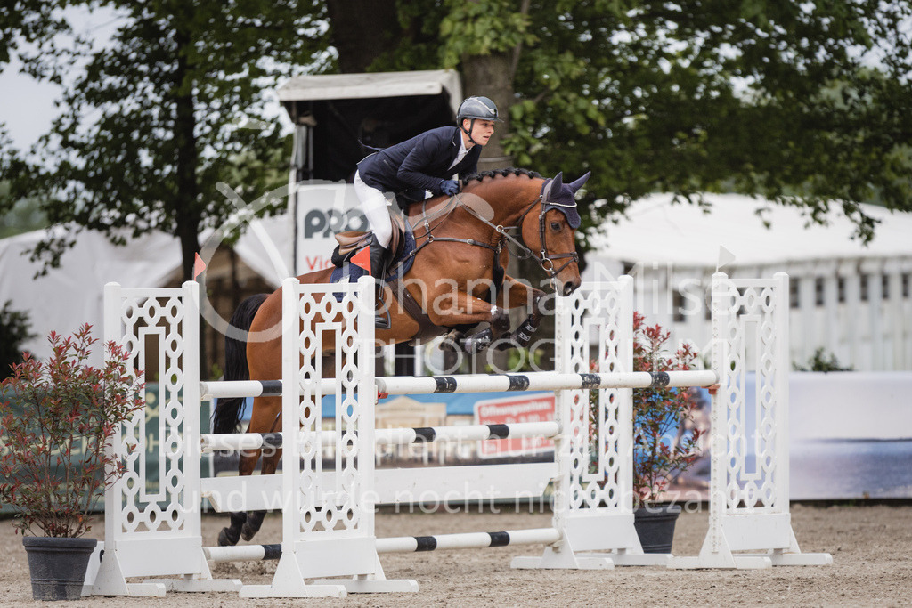 230516_Mühlen_SprPf-M-636 | Deine schönsten Turniermomente als professionelle Fotos! Entdecke hochwertige Pferdesport-Fotografie im Online-Shop. Jetzt Fotos finden & bestellen!