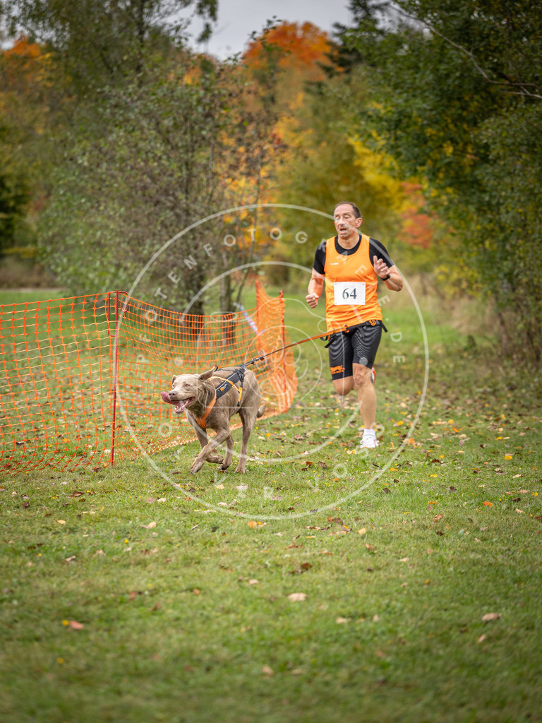 Pfotenfotografie_DV3A2736 | Hundefotografie, Tierfotograf, Pfotenfotografie, Fotoshooting Hund, Hunde Portrait, Hundesport, Hundeportraits, Heideshooting, Hunde, Sportfotograf, Hundefotograf, Turnierhundsport, THS,  - Realisiert mit Pictrs.com