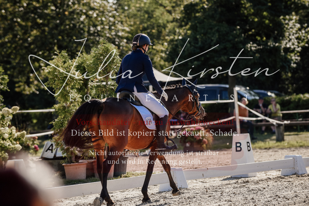 DSC_0288 | Pferde- und Turnierfotografie in Westsachsen. Pferdeportraits, Auftragszeichnungen und intuitive Kunst.