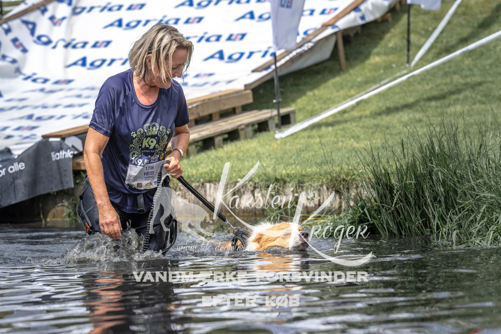 1153_ZZ94222 | kk-dogfotos