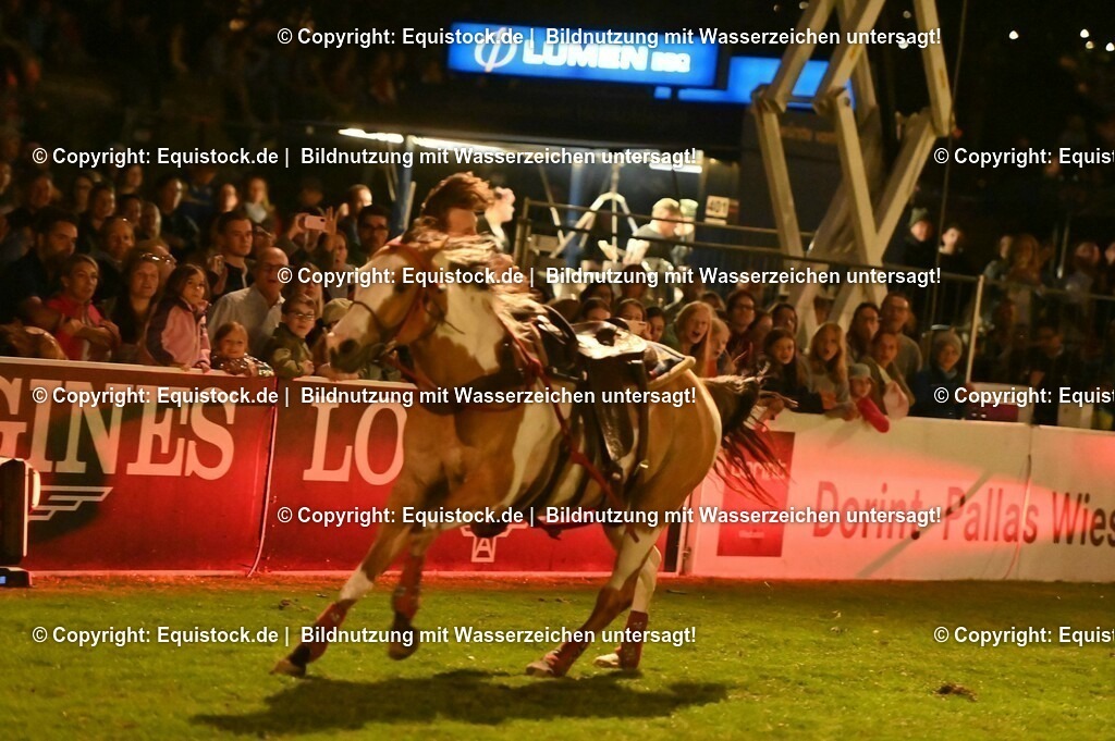 20230526_Pferdenacht_1199 | equistock