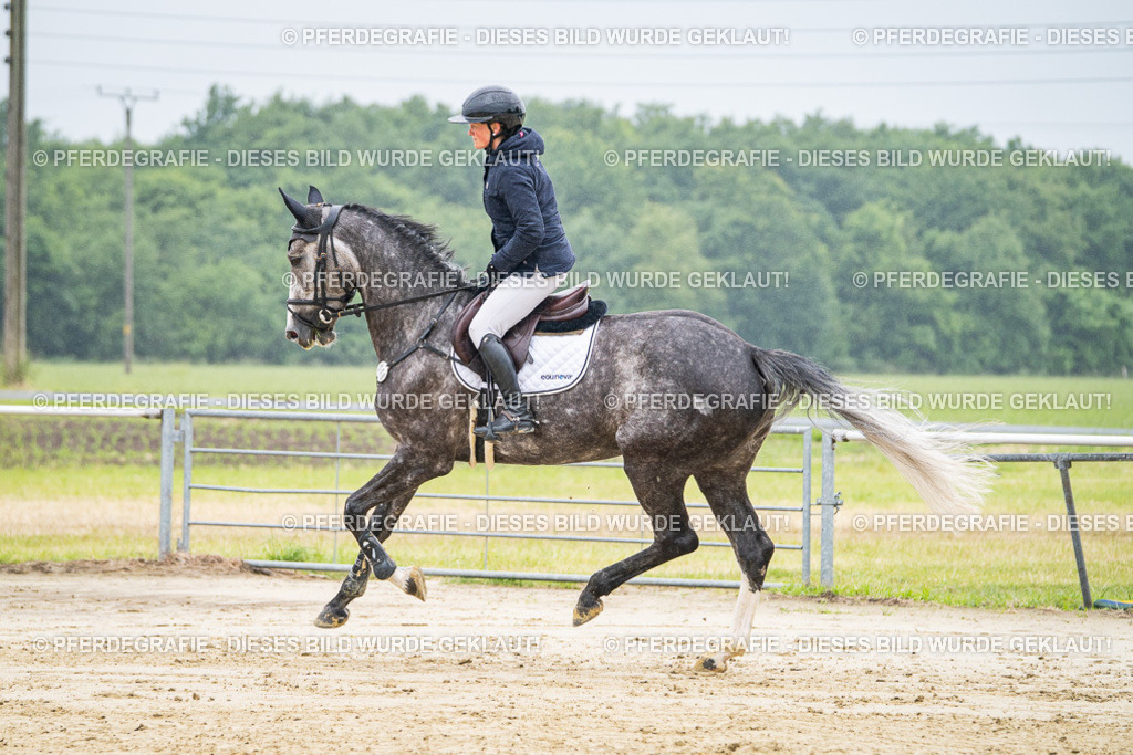 DSC01589 | Pferdegrafie