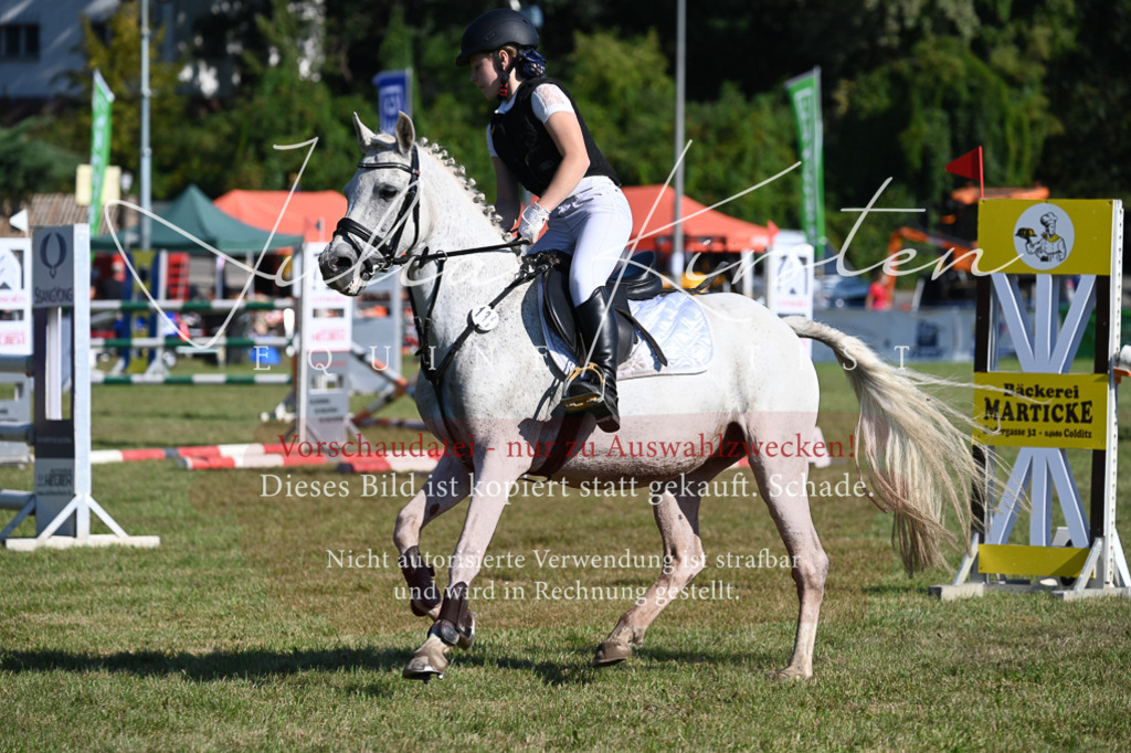 DSC_5265 | Pferde- und Turnierfotografie in Westsachsen. Pferdeportraits, Auftragszeichnungen und intuitive Kunst.