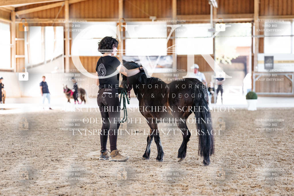 CK906896 | Turnierfotografie Pferdefotografie Trier Rheinland-Pfalz Pferdesport Reitsport Tierfotografie Sportfotografie Pferdevideo Pferdevideografie Equestrianvideography equestrianphotography  - Realisiert mit Pictrs.com
