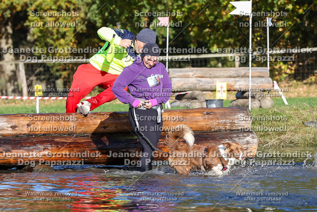 Dog Paparazzi - Strongdog 10-25-8787 | Dog Paparazzi Jeanette Grottendiek Fotografie & Videografie - Realisiert mit Pictrs.com