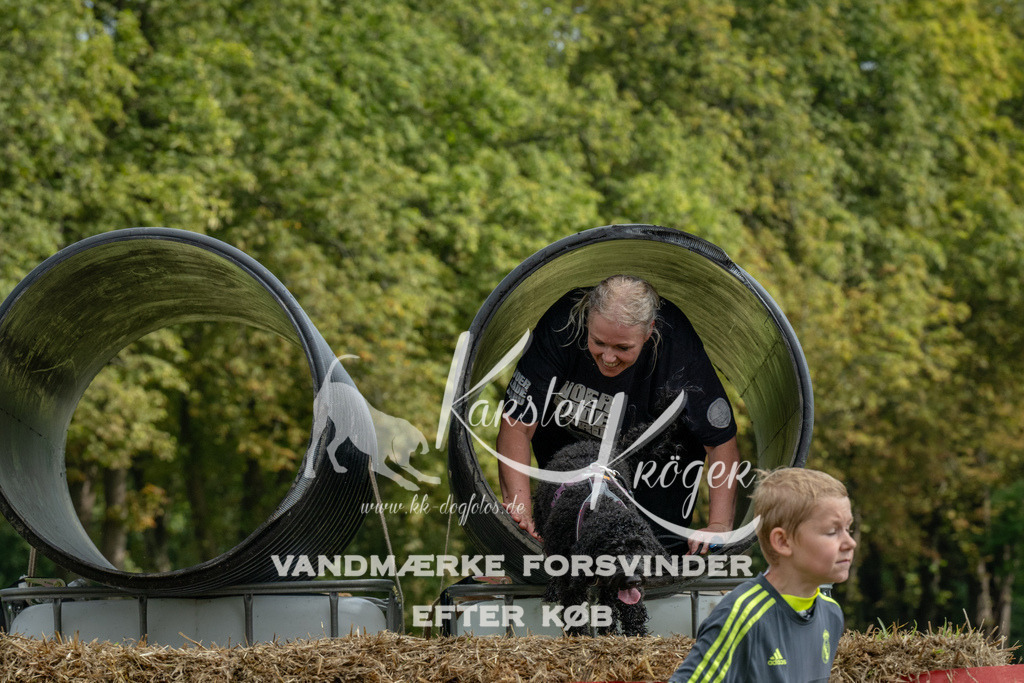 1126_ZZ94234 | kk-dogfotos