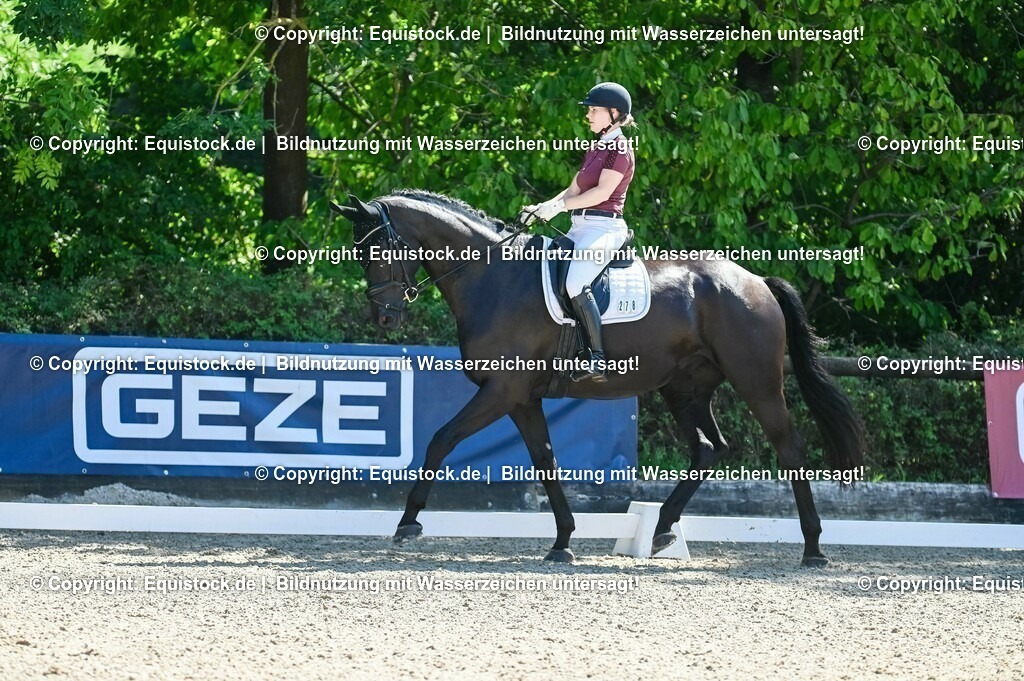 20230908_06_Dressur-L-Trense_0743 | equistock