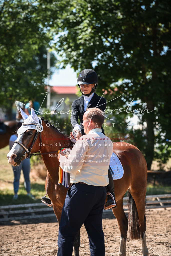 DSC_3640 | Pferde- und Turnierfotografie in Westsachsen. Pferdeportraits, Auftragszeichnungen und intuitive Kunst.