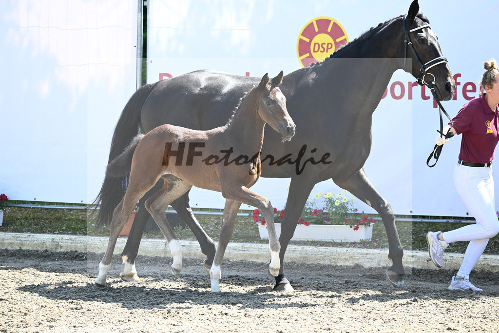 Kat-Nr. 14 HF DSP Feliciano_Pawlowski_12230484 | hf-fotografie - Realizzato con Pictrs.com