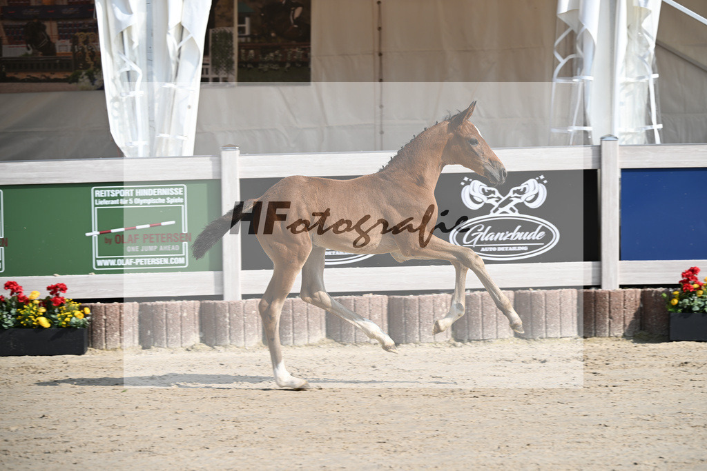 Fuerst Zonik x Vitalis_SF_Haering_12250023 | hf-fotografie - Realisiert mit Pictrs.com