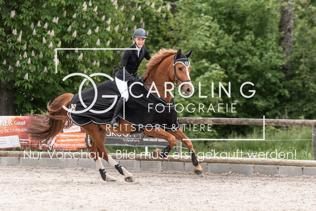 DSC_0884 | Turnierfotografin Carolin Gieschke, Turnierfotografie Carolin G Fotografie, Turnierfotos Kirchheim/Teck, Esslingen, Stuttgart, Bodenseekreis