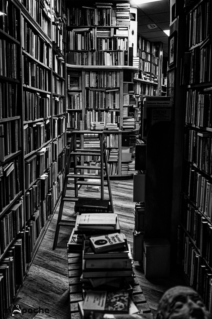 Buchhandlung | Bernd Lutz Photographie - Realisiert mit Pictrs.com