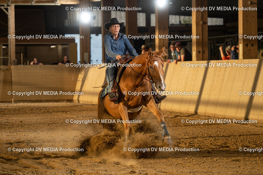 LAU02022 | dv-media-shop - Realisiert mit Pictrs.com