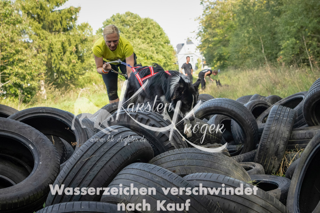 1537_ZZ91898-Bearbeitet | kk-dogfotos