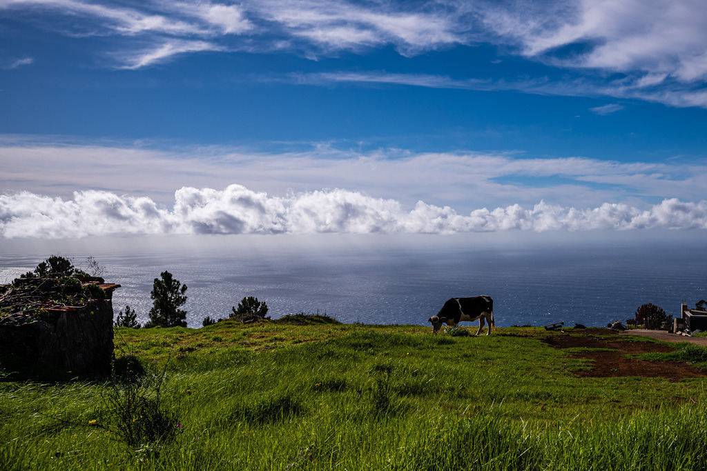 DSC05471 (24) | <meta name="keywords" content="Bergbilder, Hochzeitsfotografie, Actionshootings, Fotografiearbeiten, Berglandschaften, Naturfotografie">

 - Realisiert mit Pictrs.com