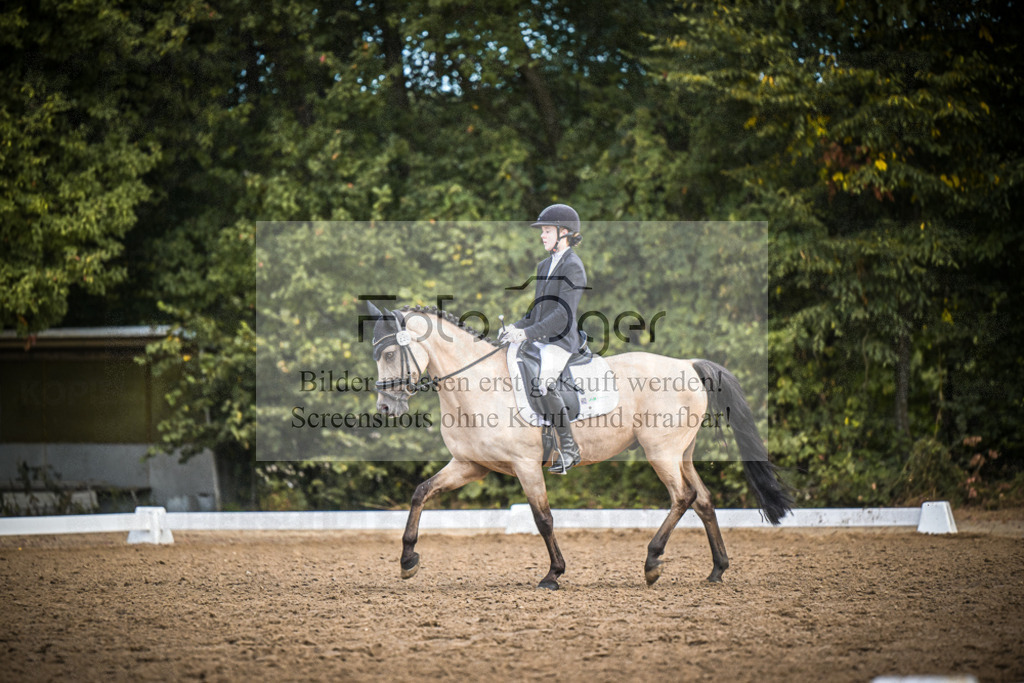 DOS_2300 | Entdecke hochwertige Reitturnierfotos von Foto Oger. Professionell, emotional und authentisch – jetzt Lieblingsmomente im Shop bestellen.Deutschlandweite Turnierfotografie. - Realisiert mit Pictrs.com
