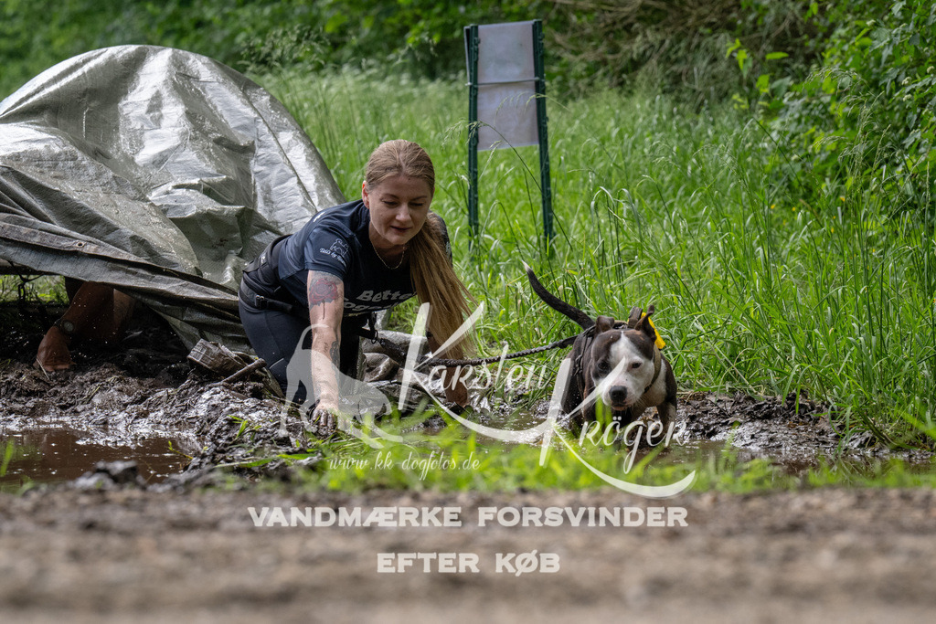 1106_ZZ91458 | kk-dogfotos