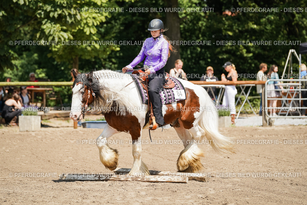 DSC07503 | Pferdegrafie