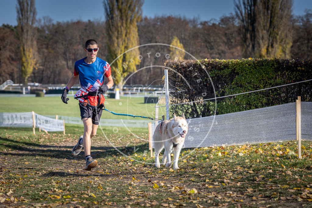 CaniXpix_DV3A9106 | Hundefotografie, Tierfotograf, Pfotenfotografie, Fotoshooting Hund, Hunde Portrait, Hundesport, Hundeportraits, Heideshooting, Hunde, Sportfotograf, Hundefotograf, Turnierhundsport, THS,  - Realisiert mit Pictrs.com