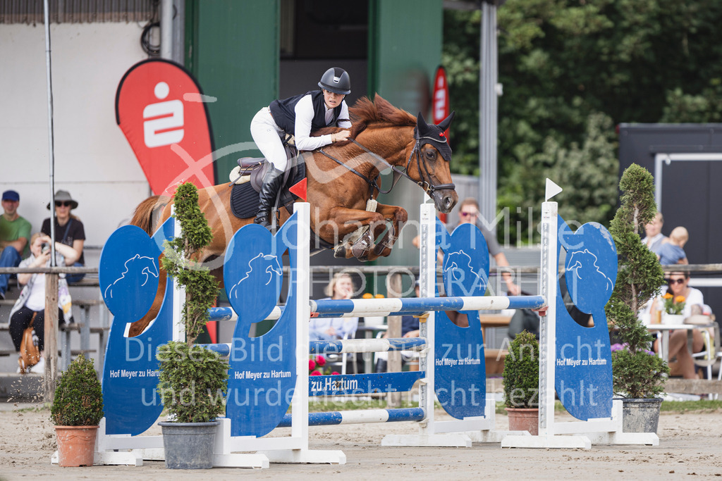 250629_PfSpTa_Stil-L2-316 | Deine schönsten Turniermomente als professionelle Fotos! Entdecke hochwertige Pferdesport-Fotografie im Online-Shop. Jetzt Fotos finden & bestellen!