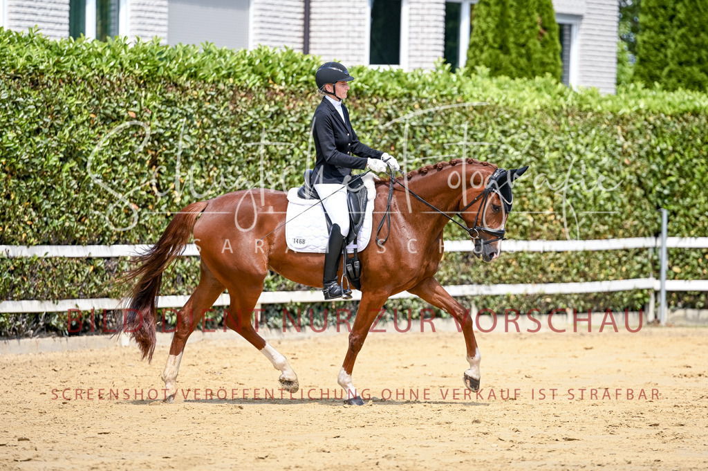 Schugtsche-Aluta25-49.Dressurpferdeprf.A-163 | Schugtsche Fotografie - Realisiert mit Pictrs.com