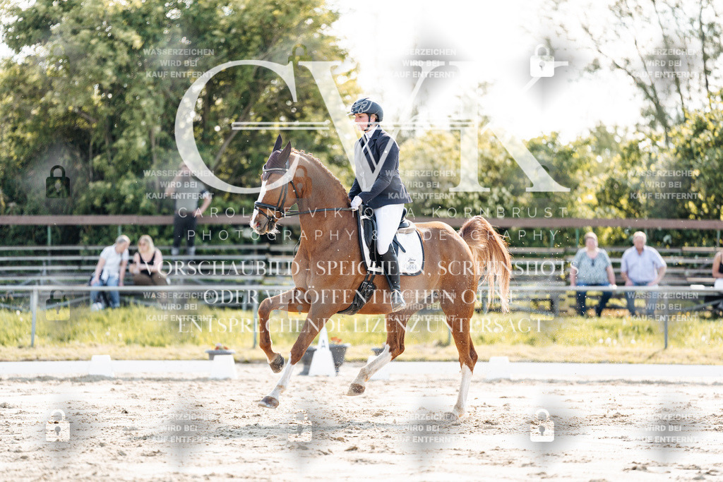 CK909346 | Turnierfotografie Pferdefotografie Trier Rheinland-Pfalz Pferdesport Reitsport Tierfotografie Sportfotografie Pferdevideo Pferdevideografie Equestrianvideography equestrianphotography  - Realisiert mit Pictrs.com