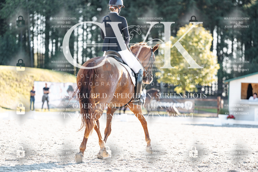 CK906931 | Turnierfotografie Pferdefotografie Trier Rheinland-Pfalz Pferdesport Reitsport Tierfotografie Sportfotografie Pferdevideo Pferdevideografie Equestrianvideography equestrianphotography  - Realisiert mit Pictrs.com