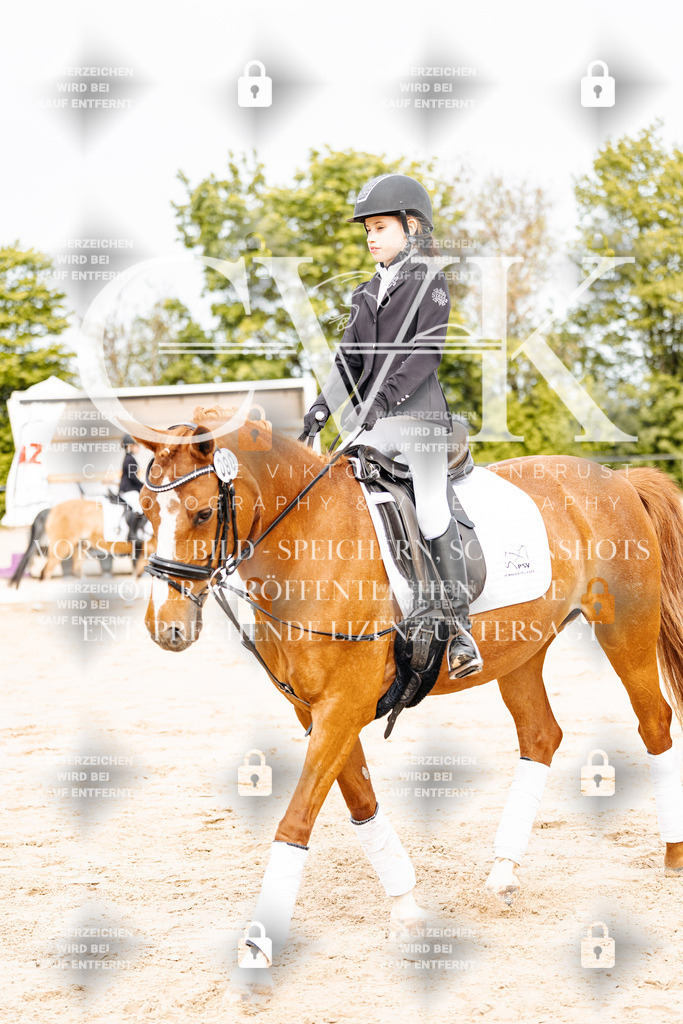 CK904487 | Turnierfotografie Pferdefotografie Trier Rheinland-Pfalz Pferdesport Reitsport Tierfotografie Sportfotografie Pferdevideo Pferdevideografie Equestrianvideography equestrianphotography  - Realisiert mit Pictrs.com